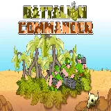 Battalion Commander