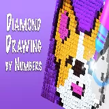 Diamond Drawing by Numbers